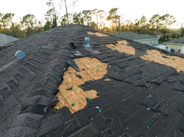 Best Solar Panel Roofing Installation  in East Sonora, CA